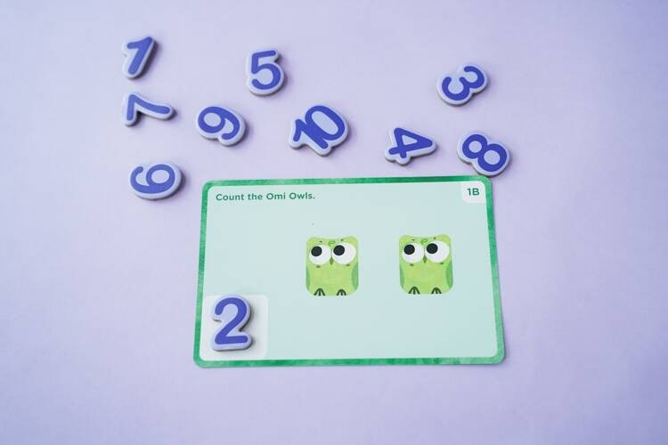 mierEdu Gra edukacyjna Omi Owl