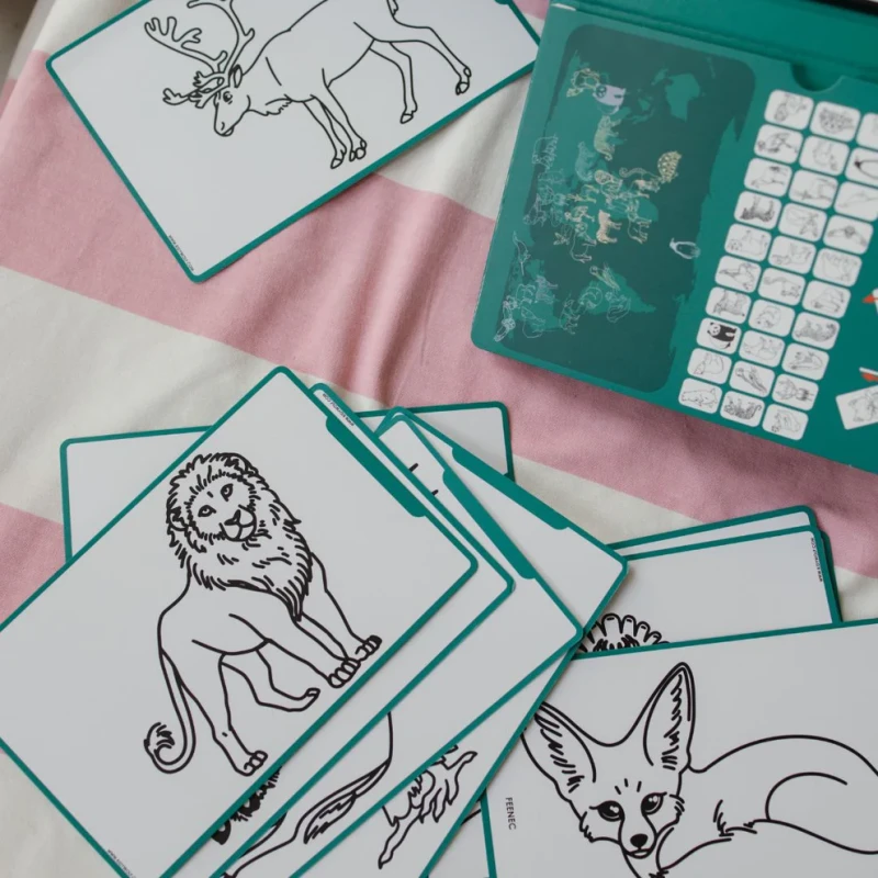 Kidywolf pad rysunkowy z papierem do kalek Zwierzęta 2