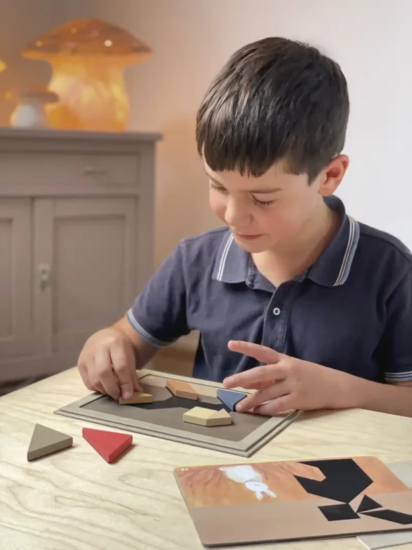EGMONT Magnetyczna gra Tangram