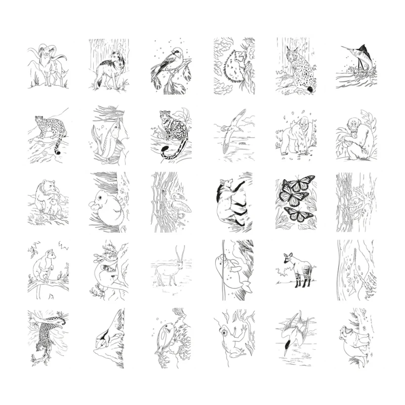 Kidywolf KIDYDRAW – podświetlany tablet do nauki rysowania animals