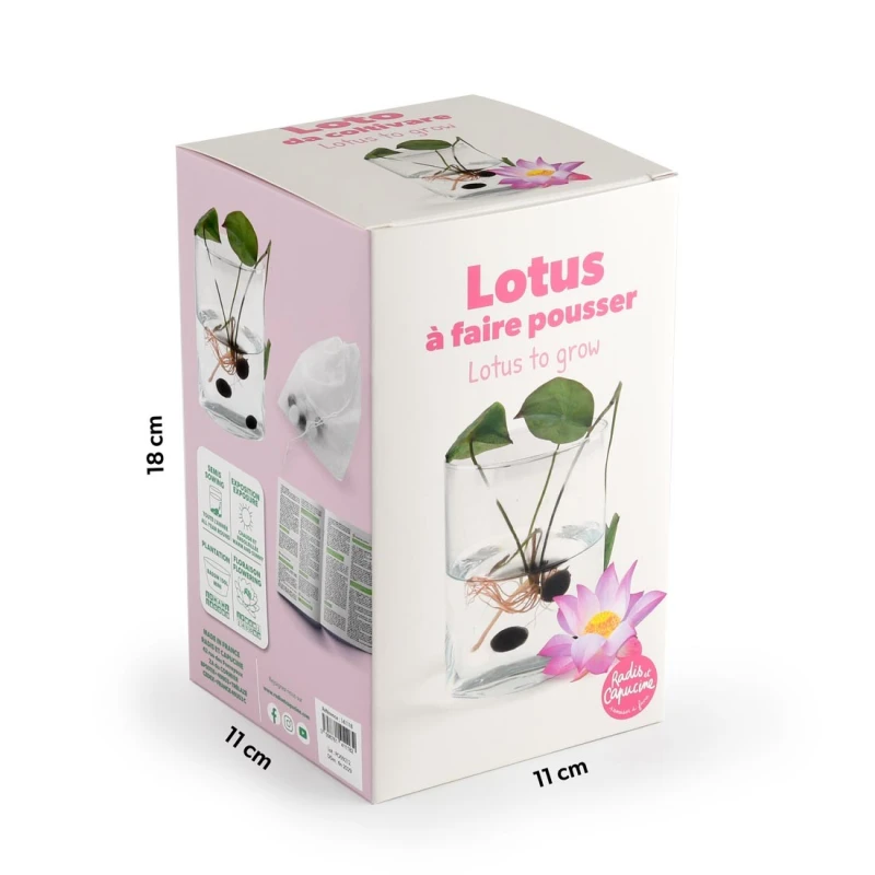 Radis et Capucine Zestaw do uprawy różowego lotosu