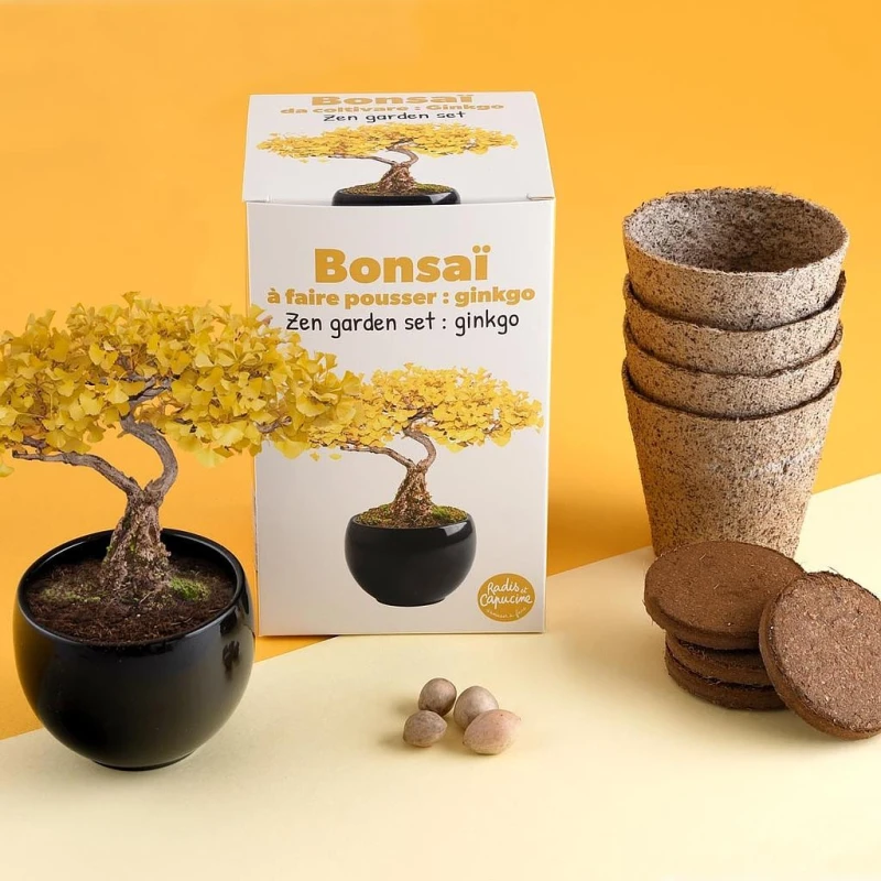 Radis et Capucine Zestaw do uprawy bonsai Ginkgo Biloba