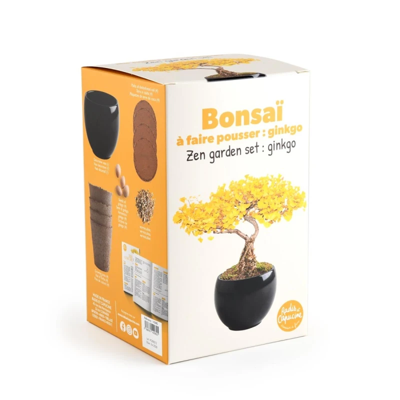 Radis et Capucine Zestaw do uprawy bonsai Ginkgo Biloba