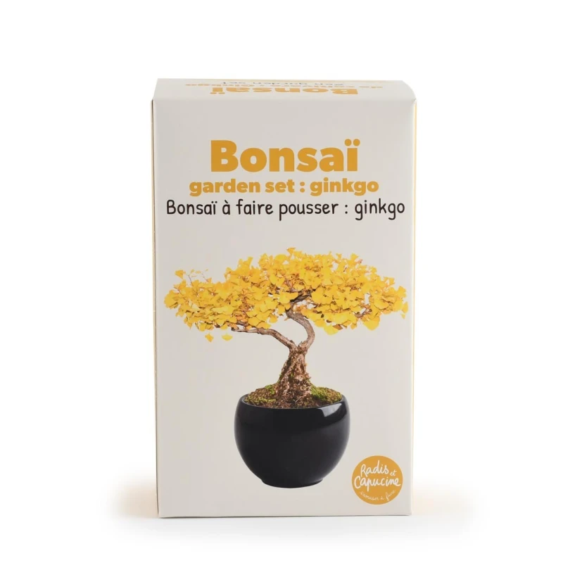 Radis et Capucine Zestaw do uprawy bonsai Ginkgo Biloba